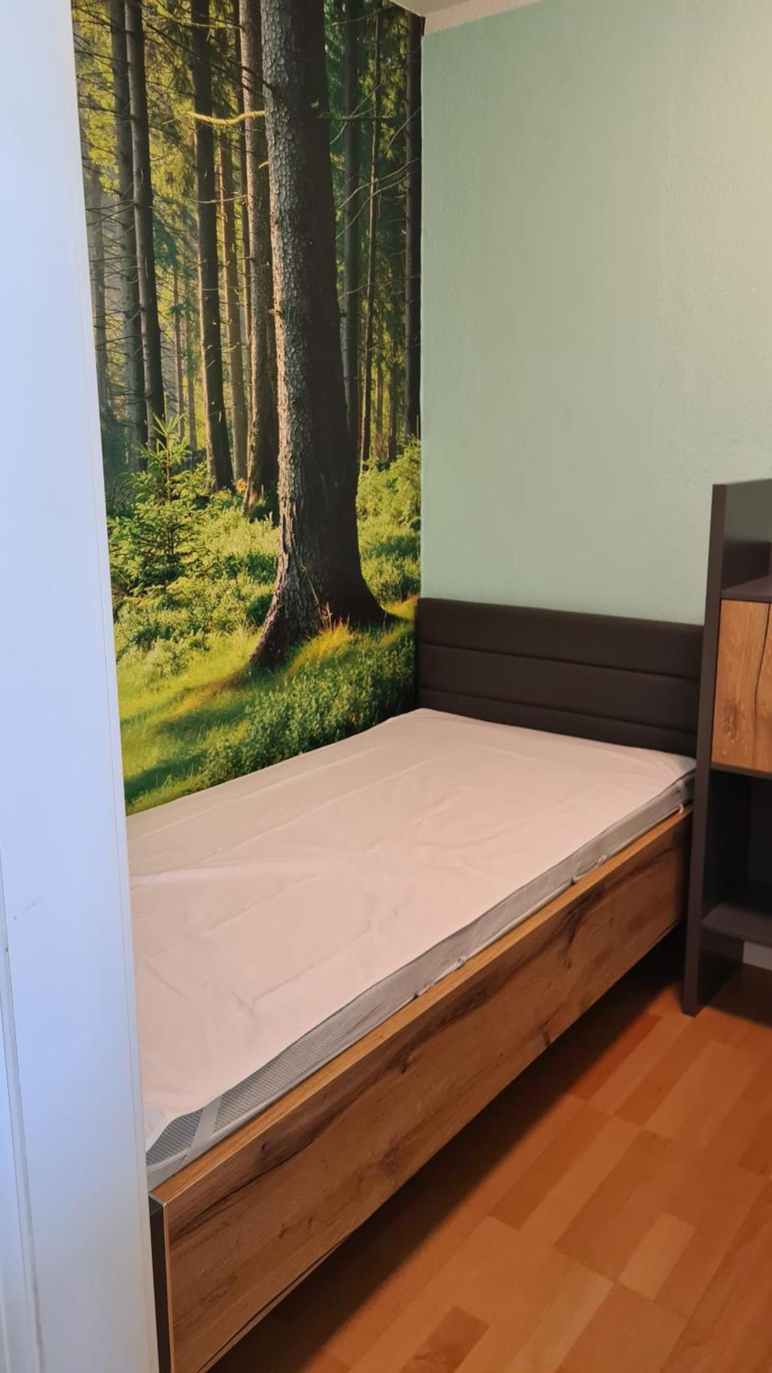 Appartement 7 101 Goslar Buitenkant foto
